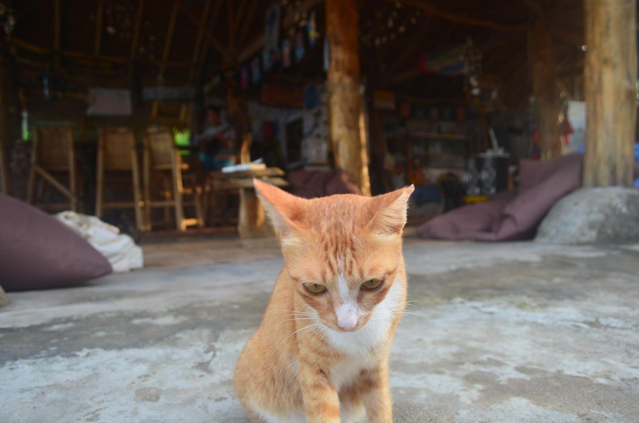 Gili Meno Eco Hostel Eksteriør bilde